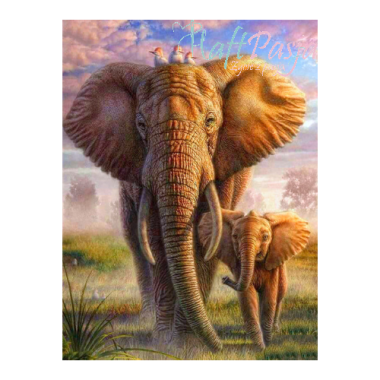 Słonie- mama i synek
